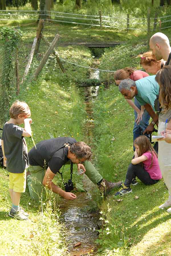 Inventaire-naturaliste-avec-les enfants