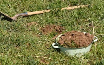 L&rsquo;Observatoire Participatif des Vers de Terre
