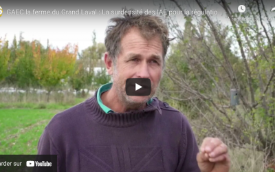 La surdensité des dispositifs d&rsquo;hospitalité pour le vivant