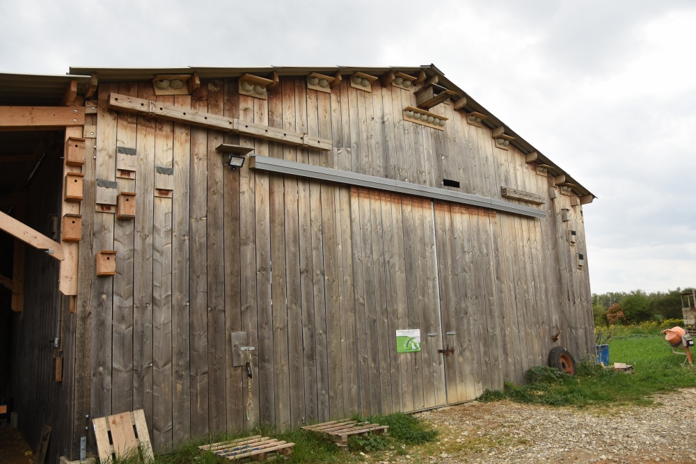 Ferme du Grand Laval facade bergerie / nichoirs