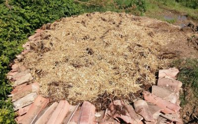 Hibernaculum paysan, Version 1, terminé