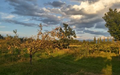 En septembre sur la ferme