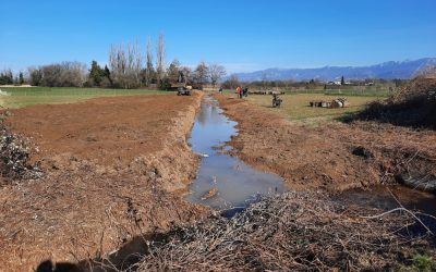 Réouverture de ruisseau et nouvelles mares