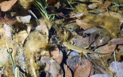 Les suivis 2023 débutent