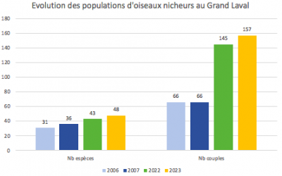 Les populations d’oiseaux continuent de croître au Grand Laval