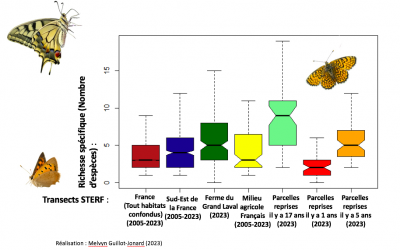 Les papillons du Grand Laval : premiers résultats