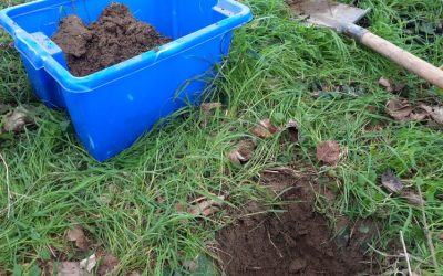 Les vers de terre du Grand Laval