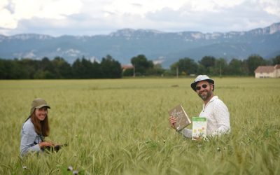 Suivis botaniques et plantes messicoles