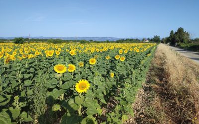 L&rsquo;année agricole 2025 sur la ferme
